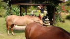 Foto 11 de Fazenda/Sítio com 2 Quartos à venda, 200m² em Parque Eldorado, Eldorado do Sul