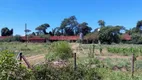 Foto 24 de Fazenda/Sítio com 4 Quartos à venda, 20000m² em Recanto dos Nobres, Araraquara