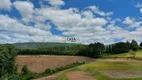 Foto 24 de Lote/Terreno à venda, 22000m² em Bugre, Balsa Nova