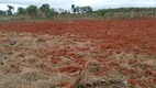 Foto 15 de Fazenda/Sítio à venda, 20000m² em Area Rural do Gama, Brasília