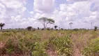 Foto 26 de Fazenda/Sítio com 2 Quartos à venda, 350m² em Zona Rural, São Geraldo do Araguaia