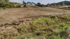 Foto 10 de Lote/Terreno à venda em Forqueta, Caxias do Sul