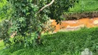 Foto 24 de Fazenda/Sítio com 5 Quartos à venda, 410m² em Parque Rio Grande, Santo André