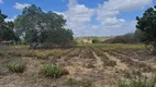 Foto 19 de Fazenda/Sítio à venda, 8000m² em , Macaíba