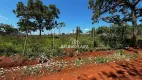 Foto 3 de Lote/Terreno à venda, 9000m² em RANCHO TRÊS LAGOAS, Igarapé