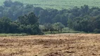 Foto 23 de Fazenda/Sítio à venda, 20000m² em Bom Retiro, Porto Feliz