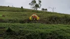 Foto 26 de Fazenda/Sítio à venda, 24200m² em , São Luiz do Paraitinga