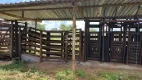 Foto 11 de Fazenda/Sítio com 3 Quartos à venda, 139m² em Zona Rural, Januária