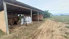 Foto 12 de Fazenda/Sítio com 1 Quarto à venda, 300m² em Vila Sao Cristovao, Santa Rosa do Sul