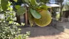 Foto 62 de Fazenda/Sítio à venda, 6300m² em Zona Rural, Tijucas do Sul