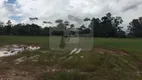 Foto 4 de Lote/Terreno à venda em Taboão, São Bernardo do Campo