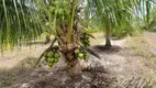 Foto 5 de Fazenda/Sítio à venda, 150000m² em Cobe de Cima, Vera Cruz