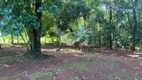 Foto 12 de Fazenda/Sítio com 3 Quartos à venda, 200m² em Expansul, Aparecida de Goiânia