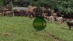 Foto 2 de Fazenda/Sítio à venda, 270000m² em Zona Rural, Cocalzinho de Goiás