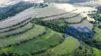 Foto 14 de Fazenda/Sítio com 4 Quartos à venda, 246400m² em Zona Rural, Pilar do Sul