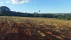 Foto 3 de Fazenda/Sítio à venda, 48000m² em Zona Rural, São Miguel do Passa Quatro