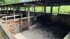 Foto 31 de Fazenda/Sítio com 3 Quartos à venda, 10000m² em Centro, Aragoiânia