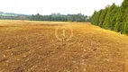 Foto 4 de Lote/Terreno à venda, 20037m² em Campo Largo da Roseira, São José dos Pinhais