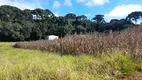 Foto 2 de Fazenda/Sítio com 1 Quarto à venda, 2500m² em Campina do Taquaral, São José dos Pinhais