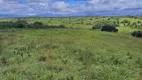 Foto 9 de Fazenda/Sítio com 3 Quartos à venda, 20000m² em Monte Alegre, Monte Alegre