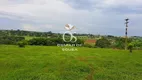 Foto 4 de Fazenda/Sítio com 1 Quarto à venda, 36000m² em Centro, Cesário Lange