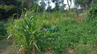 Foto 23 de Fazenda/Sítio com 3 Quartos à venda, 200m² em Bonfim, Cabreúva