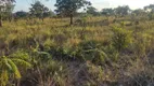 Foto 6 de Fazenda/Sítio à venda, 20000m² em Recanto das Emas, Brasília