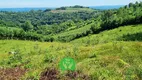 Foto 4 de Fazenda/Sítio à venda, 68000m² em Centro, Monte Belo do Sul