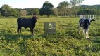 Foto 21 de Fazenda/Sítio com 2 Quartos à venda, 776000m² em Zona Rural, Terenos