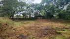 Foto 29 de Fazenda/Sítio com 2 Quartos à venda, 25000m² em Chácara São Pedro, Aparecida de Goiânia