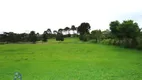 Foto 46 de Fazenda/Sítio com 6 Quartos à venda, 540m² em Campo Largo da Roseira, São José dos Pinhais