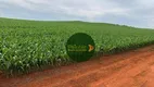 Foto 10 de Fazenda/Sítio à venda, 2904000m² em Zona Rural, Campo Alegre de Goiás