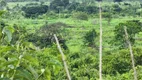 Foto 6 de Fazenda/Sítio à venda, 45000m² em Zona Rural, Santana do Araguaia