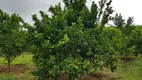 Foto 9 de Fazenda/Sítio à venda, 20000m² em Jardim Arizona, Sete Lagoas