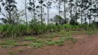 Foto 13 de Fazenda/Sítio com 1 Quarto à venda, 5000000m² em Lagoa Azul, Macapá
