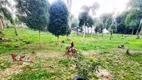 Foto 16 de Fazenda/Sítio com 4 Quartos à venda, 11500m² em Area Rural de Sao Jose dos Pinhais, São José dos Pinhais