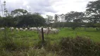 Foto 2 de Fazenda/Sítio à venda, 2000m² em Zona Rural, Araçaí