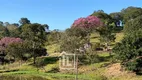 Foto 36 de Fazenda/Sítio à venda em Zona Rural, Hidrolândia