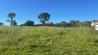 Foto 26 de Fazenda/Sítio à venda, 1880000m² em Zona Rural, Campo Grande