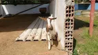 Foto 20 de Fazenda/Sítio com 4 Quartos à venda, 350m² em Serra da Cantareira, Mairiporã