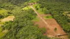 Foto 9 de Fazenda/Sítio à venda, 1000m² em Zona Rural, Aragoiânia