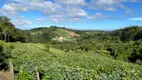 Foto 2 de Lote/Terreno à venda, 140000m² em Sao Valentin, Bento Gonçalves