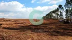 Foto 5 de Lote/Terreno à venda em Fazenda Santana Sousas, Campinas