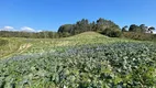 Foto 7 de Fazenda/Sítio à venda, 220000m² em Distrito de Taquaras, Rancho Queimado