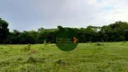 Foto 24 de Fazenda/Sítio à venda, 4065600m² em Zona Rural, Faina