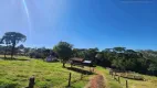 Foto 16 de Fazenda/Sítio com 2 Quartos à venda, 240m² em Zona Rural, Pardinho