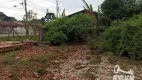 Foto 24 de Lote/Terreno à venda, 8519m² em Campina, São José dos Pinhais