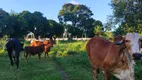 Foto 30 de Fazenda/Sítio com 4 Quartos à venda, 260000m² em Zona Rural, Monte Alegre