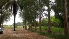 Foto 6 de Lote/Terreno à venda, 20000m² em Zona Rural, Araçaí