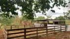 Foto 64 de Fazenda/Sítio com 4 Quartos à venda, 600m² em Anhandui, Campo Grande